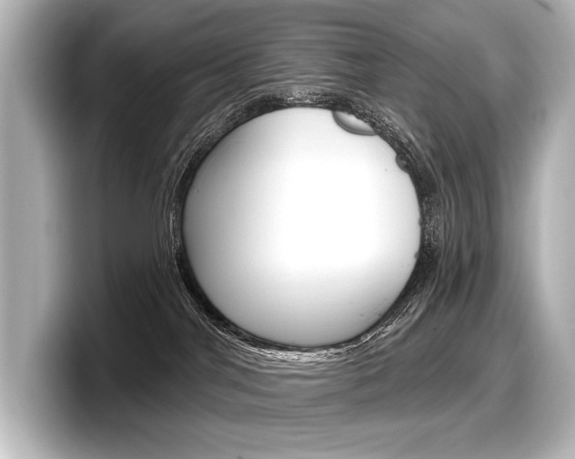 X0000098170044200804241019