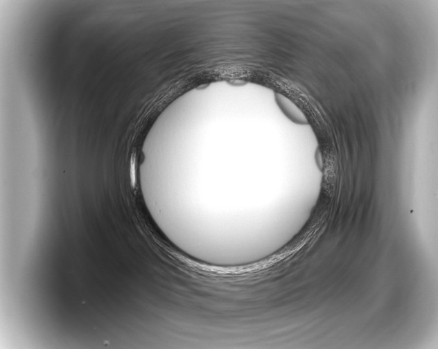 X0000098170046200804241019