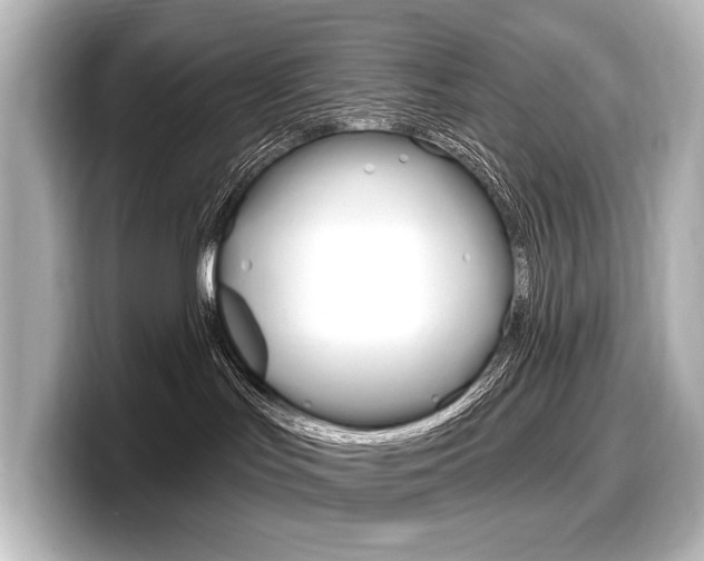X0000098170047200804241018