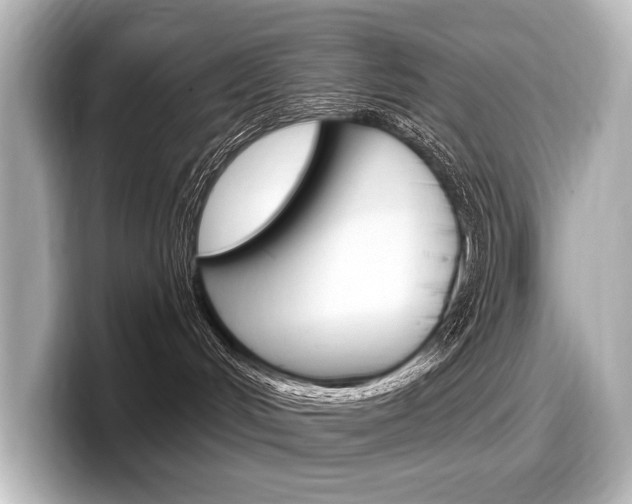 X0000098170048200804241018