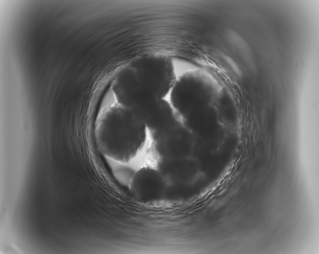 X0000098170049200804241018
