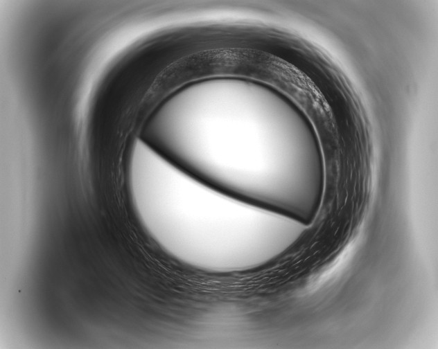 X0000098170050200804241018