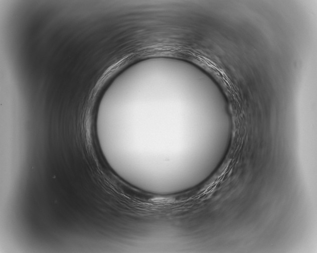 X0000098170051200804241018