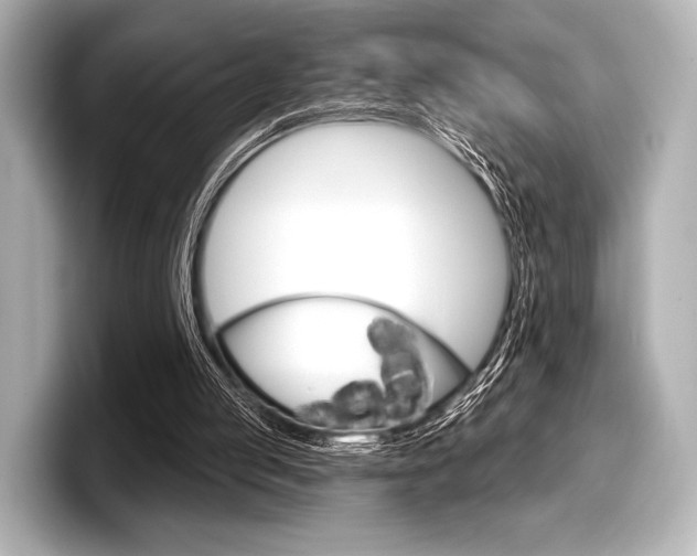 X0000098170053200804241018