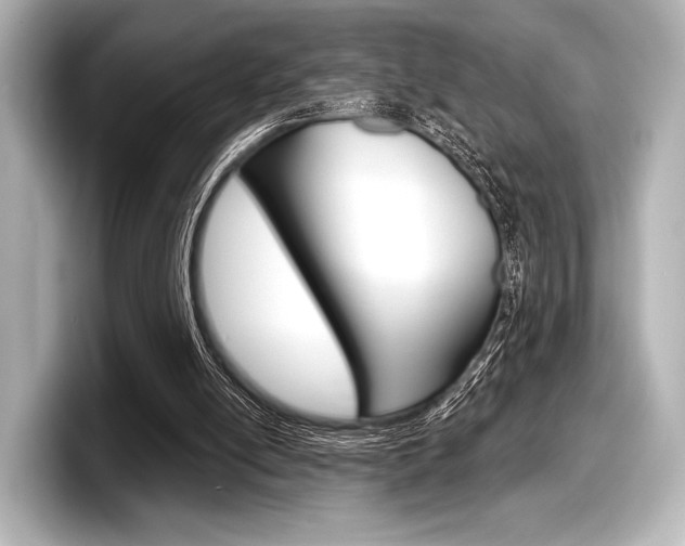 X0000098170054200804241018