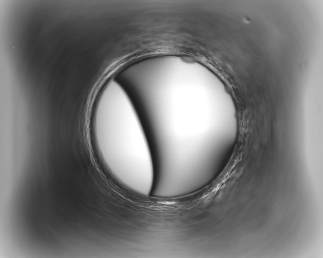 X0000098170055200804241018