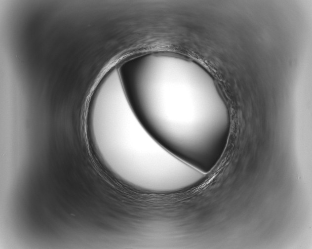X0000098170056200804241018