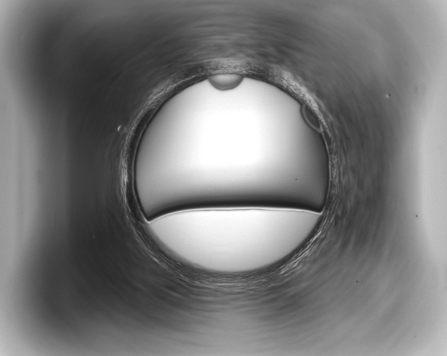X0000098170059200804241018