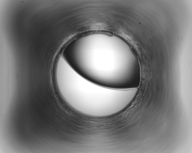 X0000098170060200804241018