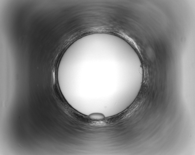 X0000098170061200804241018