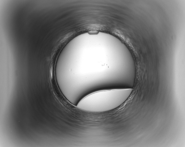 X0000098170062200804241018
