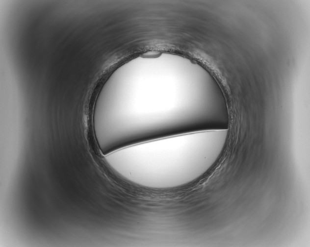 X0000098170063200804241018