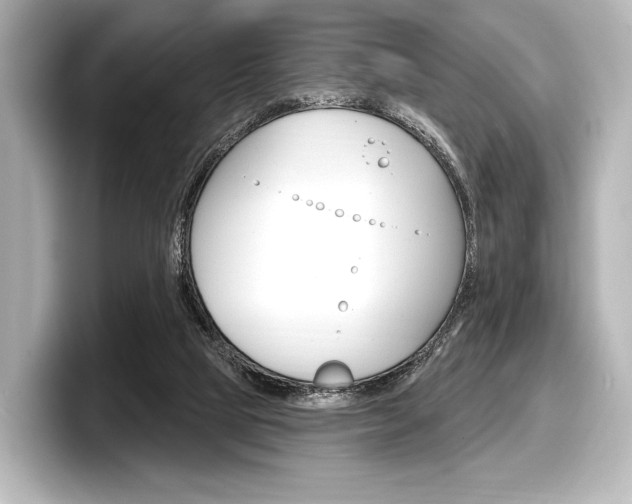 X0000098170065200804241018