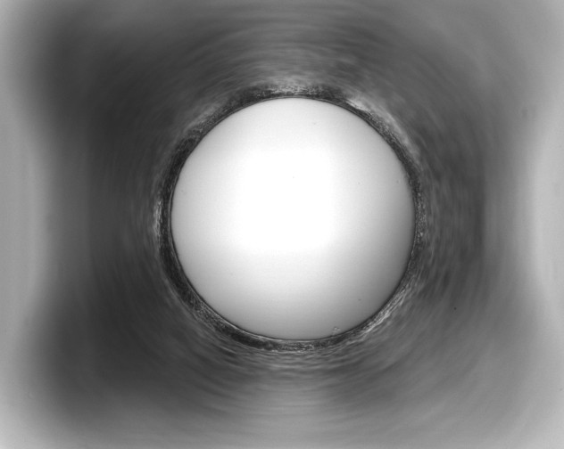 X0000098170066200804241018