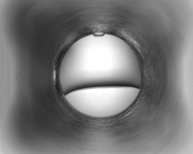 X0000098170067200804241018