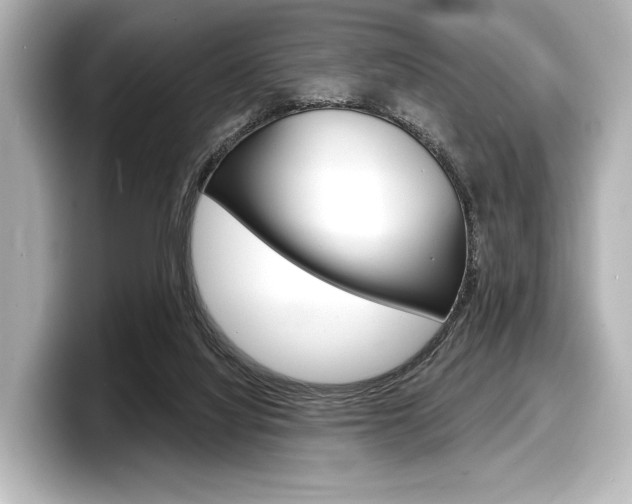 X0000098170068200804241018