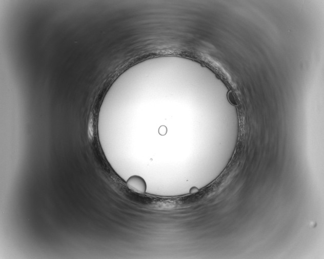 X0000098170069200804241018