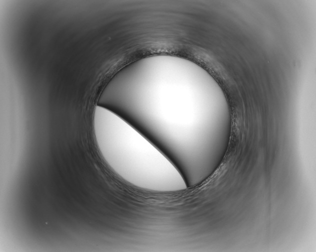 X0000098170070200804241018
