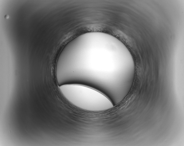 X0000098170071200804241018