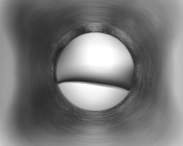 X0000098170073200804241018