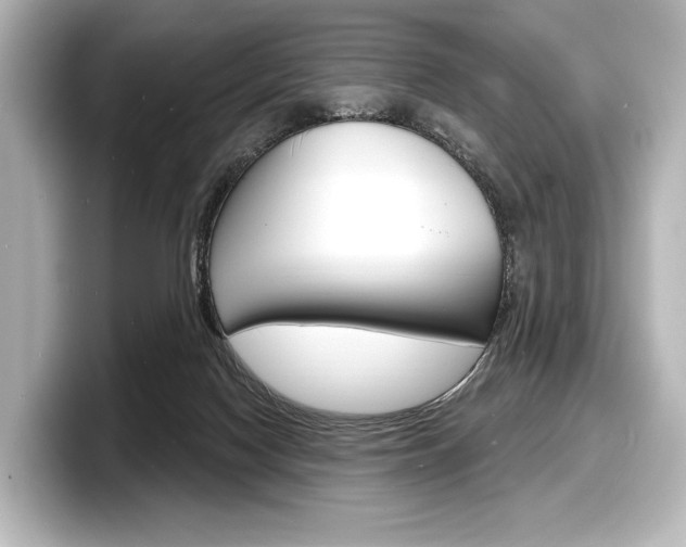 X0000098170074200804241018