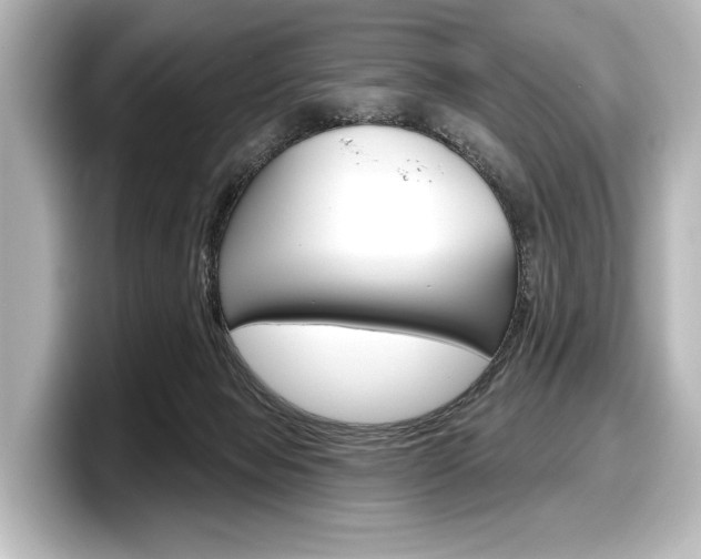 X0000098170077200804241018