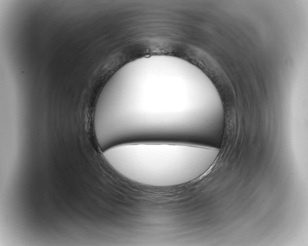 X0000098170078200804241018