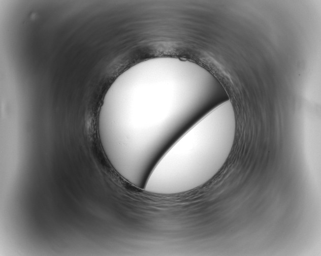X0000098170079200804241018