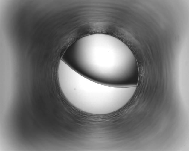 X0000098170080200804241018