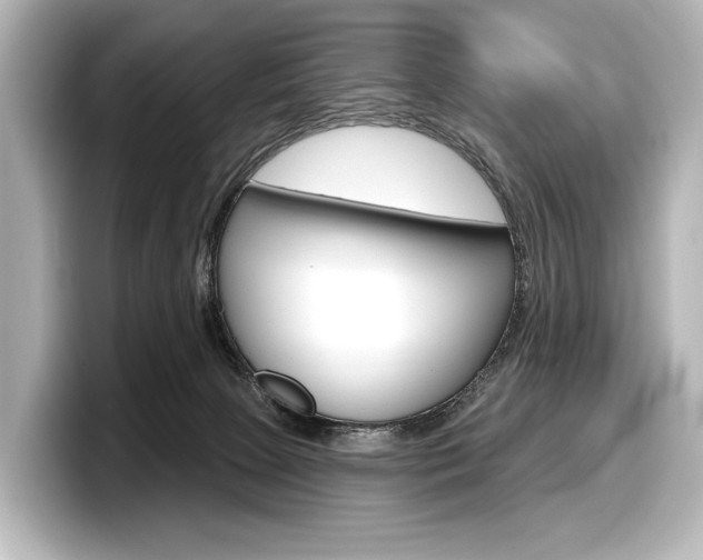 X0000098170081200804241018
