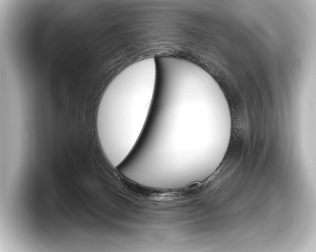 X0000098170082200804241018