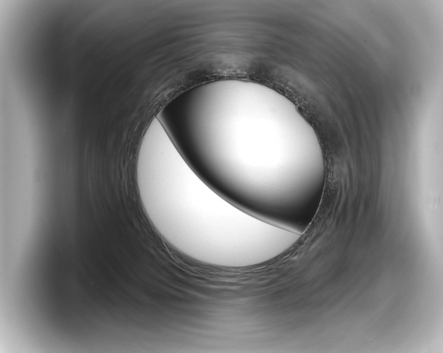 X0000098170084200804241018