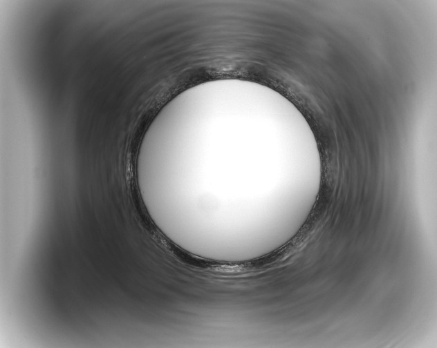 X0000098170085200804241018