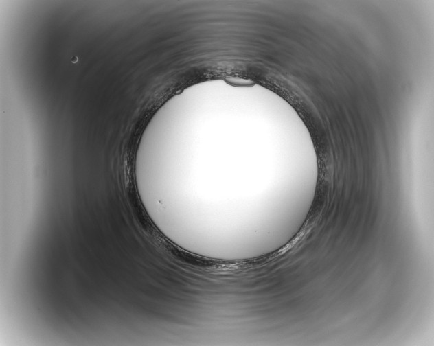 X0000098170086200804241018