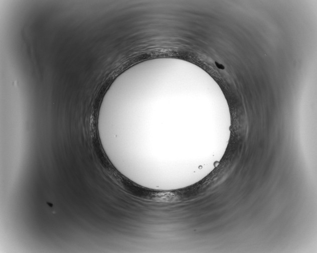 X0000098170087200804241018