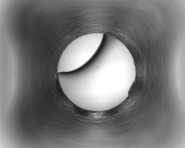 X0000098170089200804241018