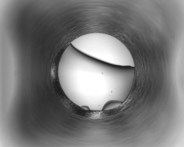 X0000098170090200804241018