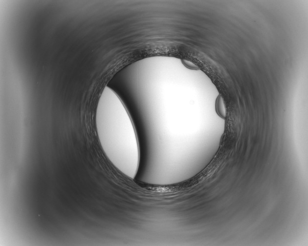 X0000098170091200804241018