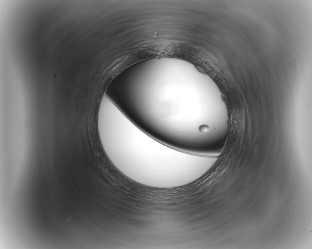 X0000098170092200804241018