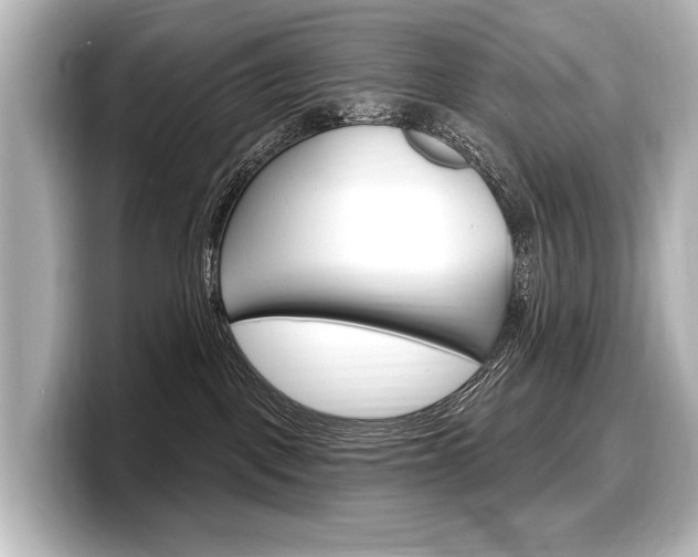 X0000098170093200804241018