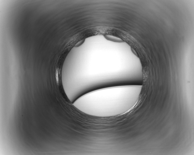X0000098170094200804241018