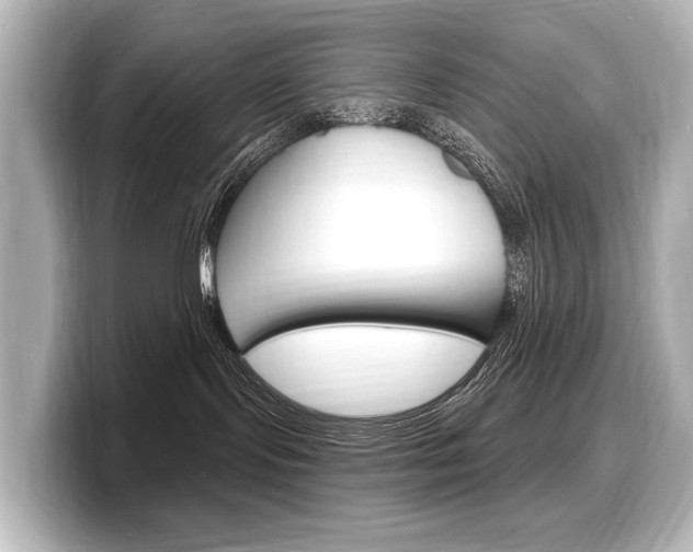 X0000098170095200804241018