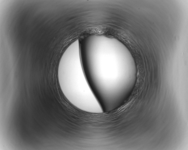 X0000098170096200804241018