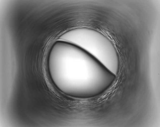X0000098170097200804241018