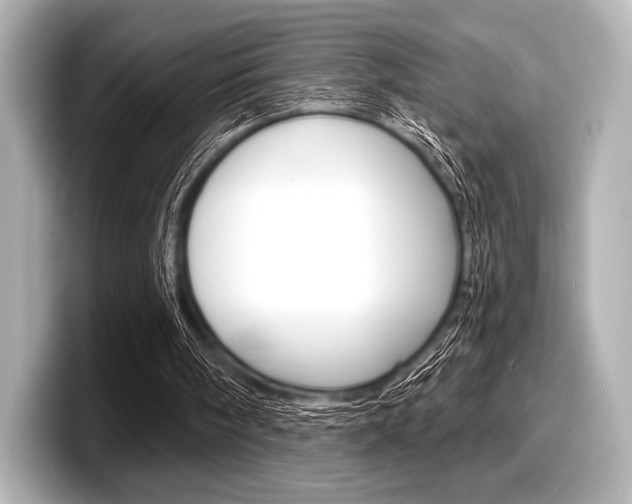 X0000098170098200804241018