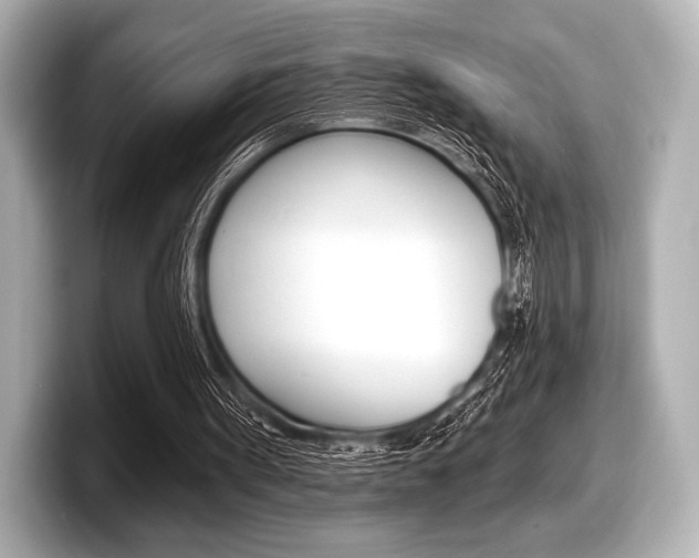 X0000098170099200804241018