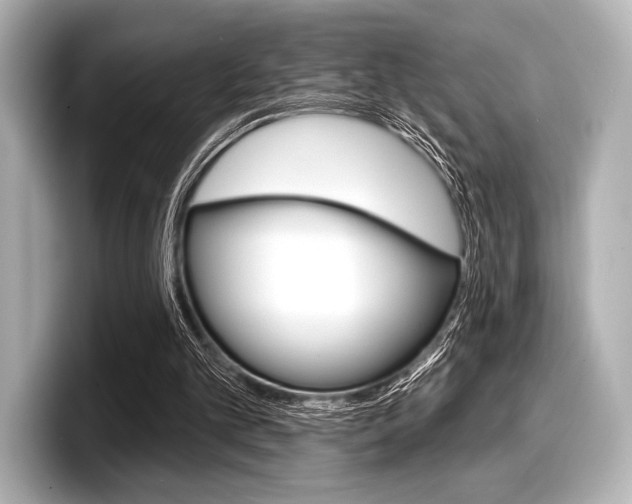 X0000098170101200804241018