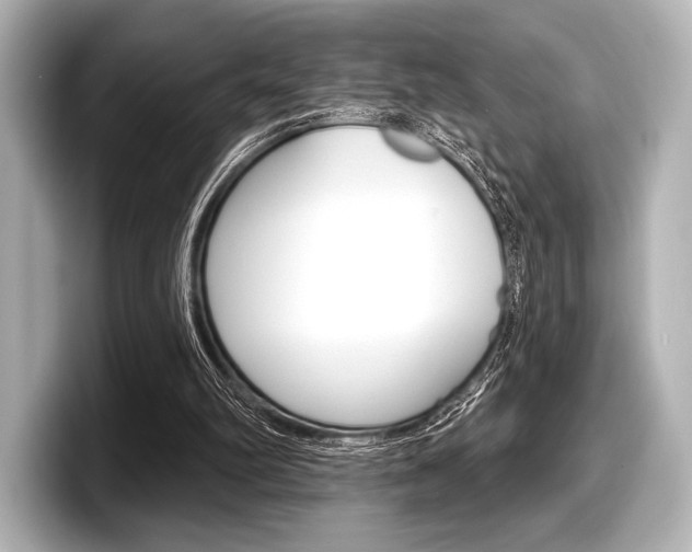 X0000098170102200804241018