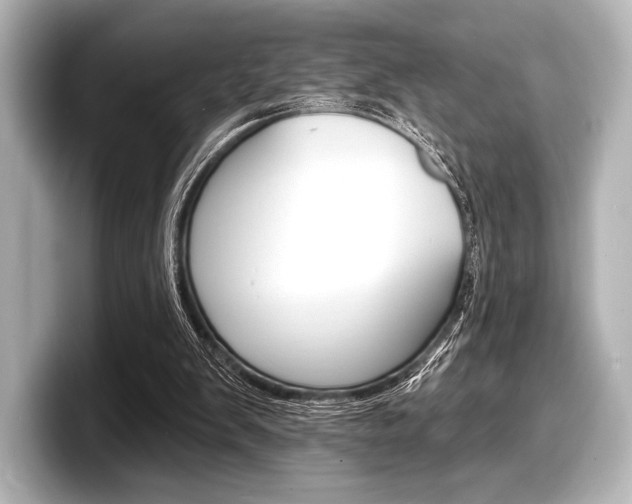 X0000098170103200804241018