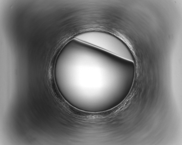 X0000098170105200804241018